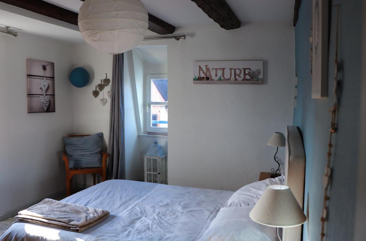 Sous Les Toits Du Zinc - Climatise Lejlighed Colmar Eksteriør billede