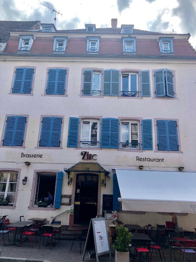 Sous Les Toits Du Zinc - Climatise Lejlighed Colmar Eksteriør billede